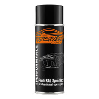 TRISTARcolor Spraydose RAL 7025 Perlgrau Matt, 400 Ml – Schnelltrocknend, Made In Germany